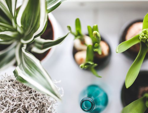 لورم ایپسوم متن ساختگی با تولید سادگی نامفهوم